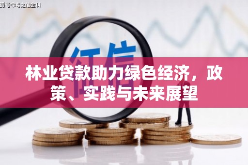 西吉林业贷款助力绿色经济，政策、实践与未来展望