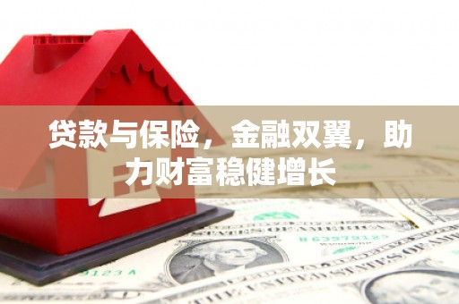 西吉贷款与保险，金融双翼，助力财富稳健增长