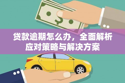 西吉贷款逾期怎么办，全面解析应对策略与解决方案