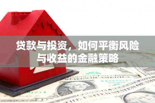 西吉贷款与投资，如何平衡风险与收益的金融策略