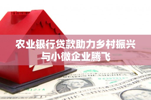 西吉农业银行贷款助力乡村振兴与小微企业腾飞