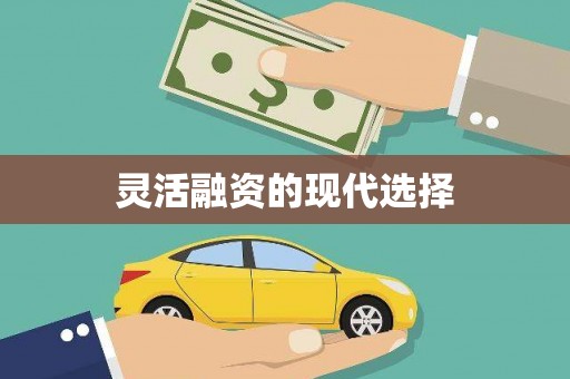 西吉灵活融资的现代选择