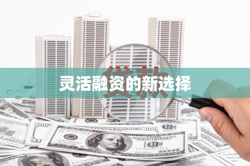 西吉灵活融资的新选择