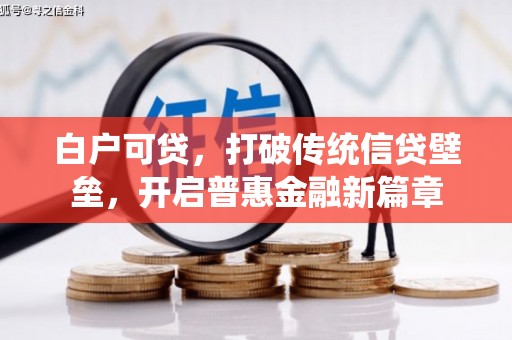 西吉白户可贷，打破传统信贷壁垒，开启普惠金融新篇章