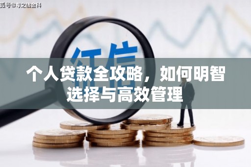 西吉个人贷款全攻略，如何明智选择与高效管理