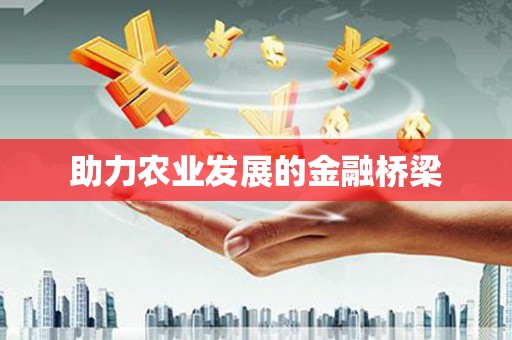 西吉助力农业发展的金融桥梁