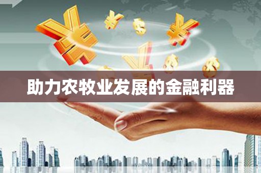 西吉助力农牧业发展的金融利器