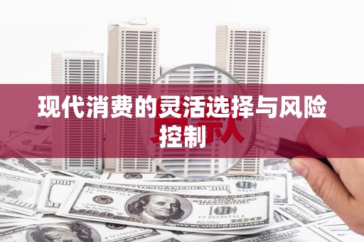 西吉现代消费的灵活选择与风险控制