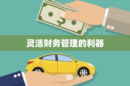 西吉灵活财务管理的利器