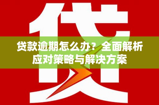 西吉贷款逾期怎么办？全面解析应对策略与解决方案