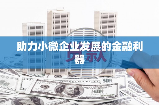 西吉助力小微企业发展的金融利器