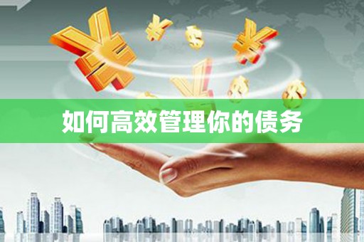西吉如何高效管理你的债务