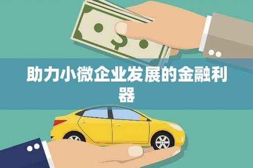 西吉助力小微企业发展的金融利器