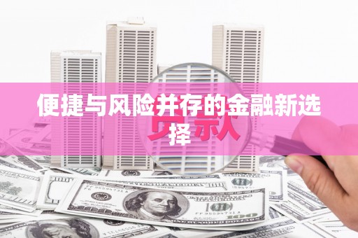 西吉便捷与风险并存的金融新选择