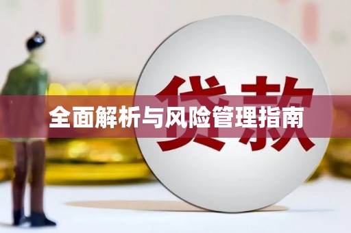 西吉全面解析与风险管理指南