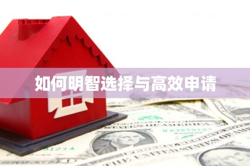 西吉如何明智选择与高效申请