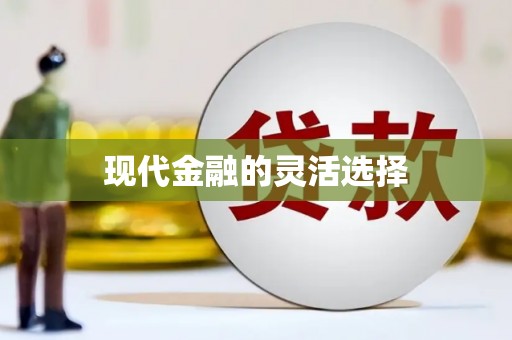 西吉现代金融的灵活选择