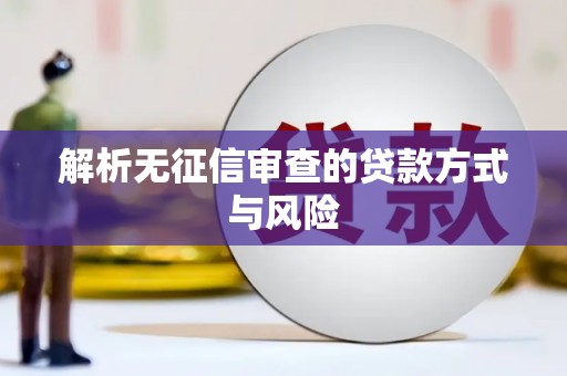 西吉解析无征信审查的贷款方式与风险