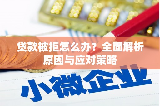 西吉贷款被拒怎么办？全面解析原因与应对策略