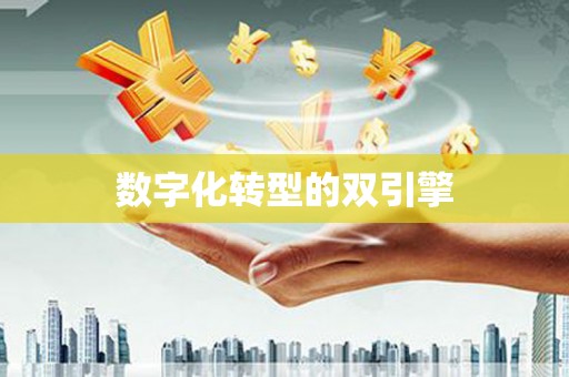 西吉数字化转型的双引擎