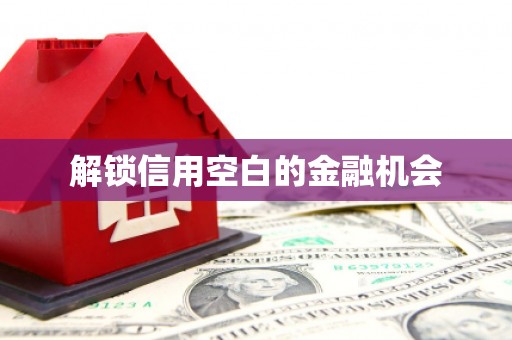 西吉解锁信用空白的金融机会