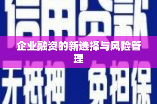 西吉企业融资的新选择与风险管理