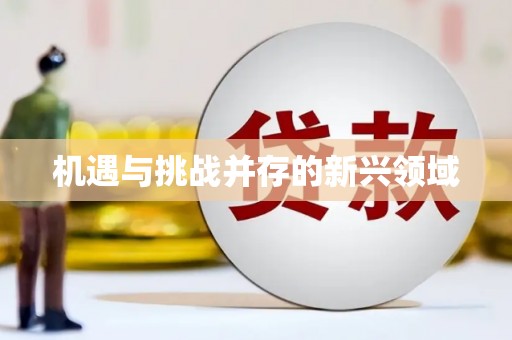西吉机遇与挑战并存的新兴领域