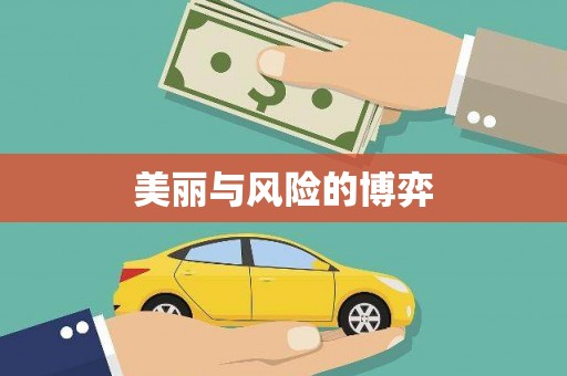西吉美丽与风险的博弈