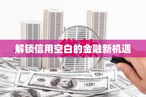 西吉解锁信用空白的金融新机遇