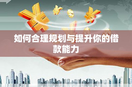 西吉如何合理规划与提升你的借款能力