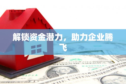 西吉解锁资金潜力，助力企业腾飞
