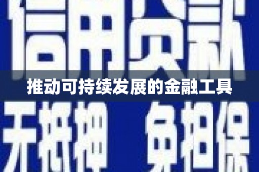 西吉推动可持续发展的金融工具