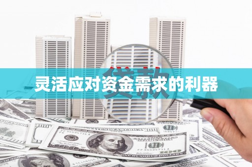 西吉灵活应对资金需求的利器