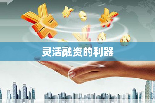 西吉灵活融资的利器