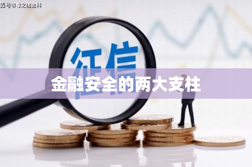 西吉金融安全的两大支柱
