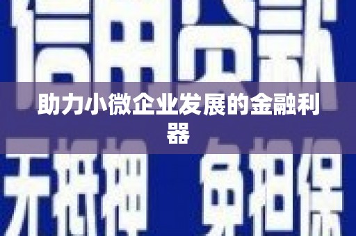 西吉助力小微企业发展的金融利器