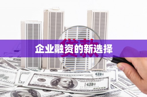 西吉企业融资的新选择