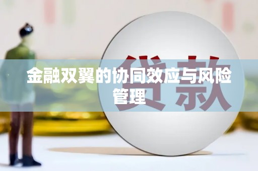 西吉金融双翼的协同效应与风险管理