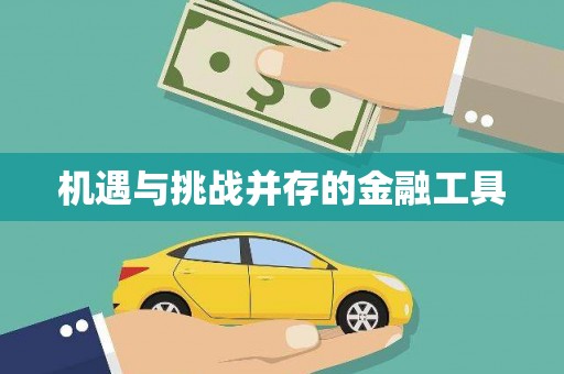 西吉机遇与挑战并存的金融工具