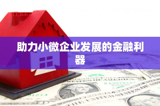西吉助力小微企业发展的金融利器