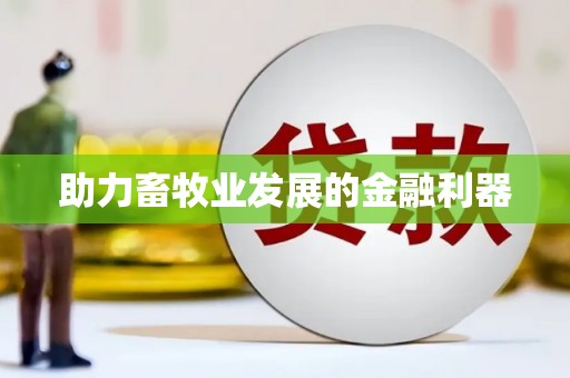 西吉助力畜牧业发展的金融利器