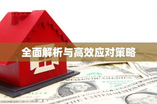 西吉全面解析与高效应对策略