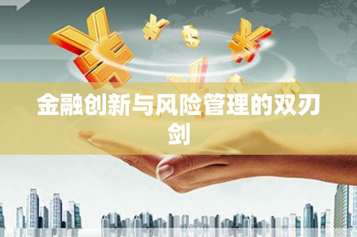 西吉金融创新与风险管理的双刃剑
