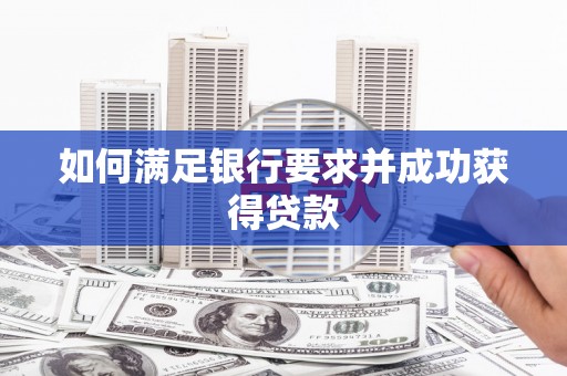 西吉如何满足银行要求并成功获得贷款