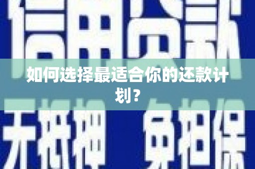 西吉如何选择最适合你的还款计划？