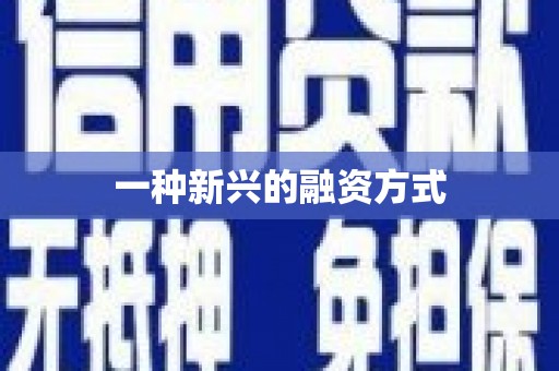 西吉一种新兴的融资方式