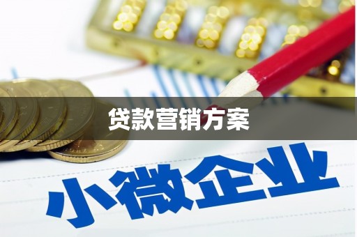 西吉贷款营销方案