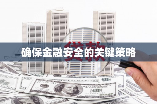 西吉确保金融安全的关键策略