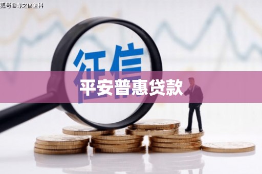 西吉平安普惠贷款