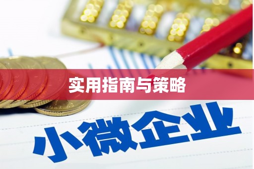 西吉实用指南与策略